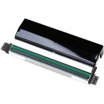 Zebra Thermal Transfer  Direct Thermal Printhead - 1 Pack