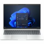 HP EliteBook 8 G1a 16in Copilot+ PC Notebook - WUXGA - 60 Hz - AMD Ryzen 7 PRO 250 - 16 GB - 512 GB SSD - English Keyboard - Glacier Silver - AMD Chip - 1920 x 1200 - Windows 11 Pro - A