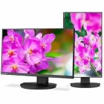 Sharp NEC Display MultiSync DD-EA241F 24in Class Full HD LED Monitor - 16:9 - Black - 23.8in Viewable - In-plane Switching (IPS) Technology - WLED Backlight - 1920 x 1080 - 16.7 Million