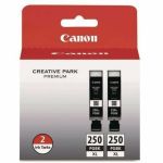 Canon 250PGBK Original High Yield Inkjet Ink Cartridge - Twin-pack - Pigment Black - 2 / Pack - 300 Pages