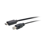 USB-C to USB2.0 B Cable 10ft Black