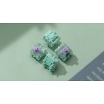 WS Dash HE Switches 70pcs/Bottle