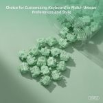 WS 35pcs Jade Switches