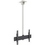 Kanto CM600W Ceiling Mount for Flat Panel Display - White - 1 Display(s) Supported - 70in Screen Support - 110 lb Load Capacity - 75 x 75  600 x 400