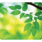 Fellowes Recycled Mouse Pad - Leaves - Leaves - 8in x 9in x 0.06in Dimension - Multicolor - Rubber - Skid Proof - 1 Pack - TAA Compliant