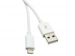 iPhone/iPod/iPad to USB Cable 3' White