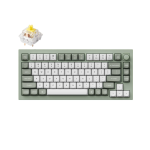 Keychron Q1-W4 Q1 QMK Custom Mechanical KeyboardVersion 2 Fully Assembled Knob (Special Edition) Green Keychron K Pro