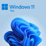 Microsoft FQC-10529 Windows 11 Pro OS 64-bit OEM English (1-Pack)