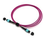3m (10ft) Purple  12F MTP/F-MTP/F OM4 Multimode Elite Trunk Cable 12 Fibers Type B Plenum (OFNP)