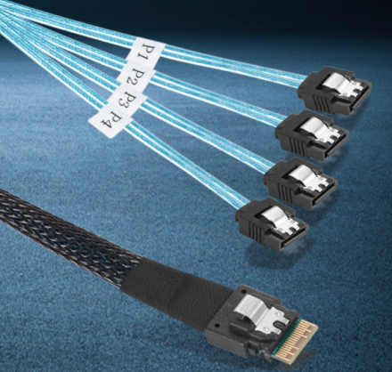 その他 SAS Amazon.com: DiliVing 𝐃𝐢𝐋𝐢𝐧𝐤𝐞𝐫 𝐒𝐥𝐢𝐦𝐒𝐀𝐒 8X to 8