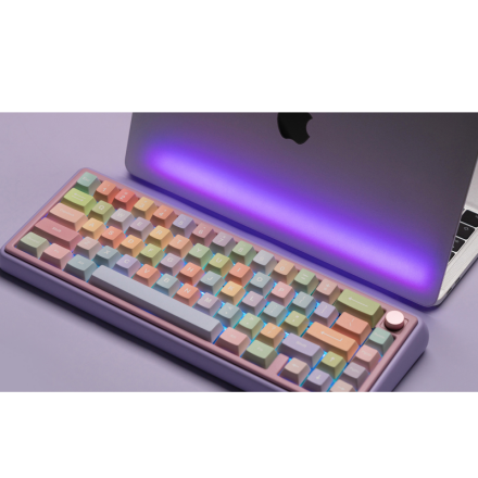 【KUMA-KUNページ】パープル Wi-Fiモデル　256GB Chilkey Paw 65 Keyboard Assembled Edition Flex Cut Hotswap RGB PCB