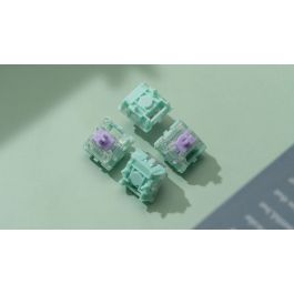WS Dash HE Switches 70pcs/Bottle